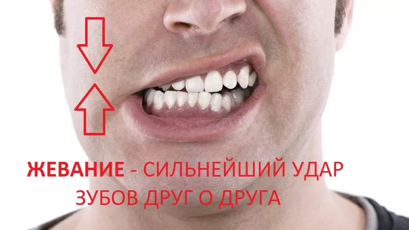 Процесс жевания - регулярный сильнейший удар зубов о зубы, так как жевательные мышцы самые сильные в организме.